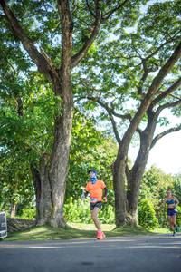 BIB: 
                            <button type="button" onclick="openModal(26545969)" class="btn btn-primary btn-sm float-right btn-popup" data-toggle="modal" data-target=".modal-high-quality">
                        <i class="fas fa-shopping-cart"></i> Add to Cart
                    </button>
                                            <button type="button" onclick="isThisMe(26545969, true)" class="btn btn-success btn-sm float-right btn-popup btn-isme hidden" data-toggle="tooltip" data-placement="bottom" title="นี่คือรูปของคุณใช่ไหม คลิกที่นี่เพื่อเอาเข้าอัลบั้ม">
                        <i class="fas fa-plus"></i> Add to album
                    </button>
                    <button type="button" onclick="isThisMe(26545969, false)" class="btn btn-warning btn-sm float-right btn-popup btn-isnotme hidden">
                        <i class="fas fa-ban"></i> Remove from album
                    </button>